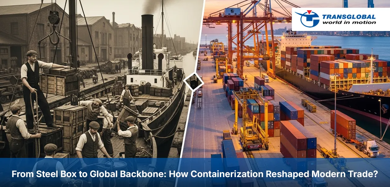 From Steel Box to Global Backbone How Containerization Reshaped Modern Trade