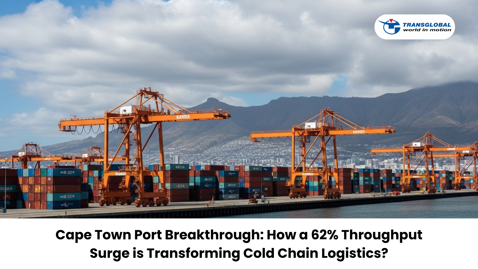 Cape Town Port Breakthrough: How a 62% Throughput Surge is Transforming Cold Chain Logistics?