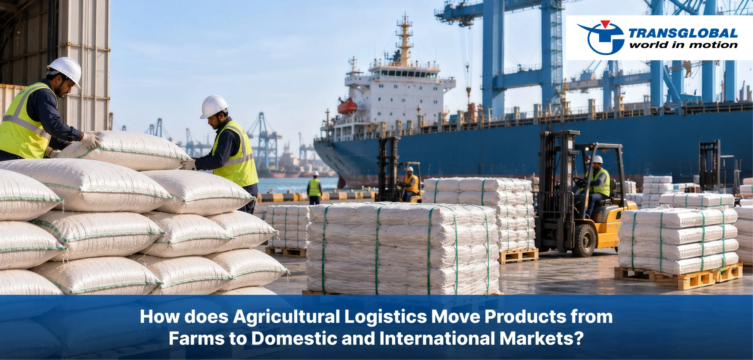 How does Agricultural Logistics Move Products from Farms to Domestic and International Markets?